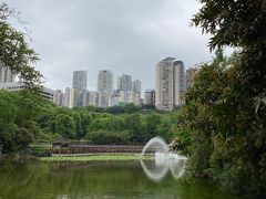 -龙头寺公园