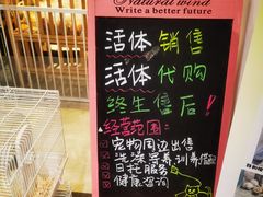 -柴犬小屋·柴餐厅·狗咖食堂(金鼎广场店)