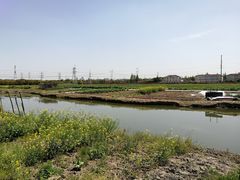 -嘉北郊野公园