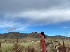 -郭莽湿地