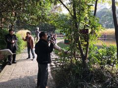 -成都市活水公园