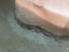 -碧水湾温泉