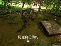 -大理老字号·舟渔的鱼野生菌海景餐厅(双廊店)