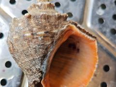 -巧克力渔家.小船海鲜家常菜(万平口店)