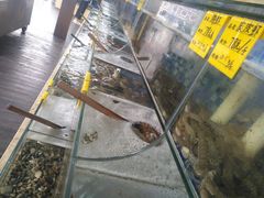 -睿柏云酒店-餐厅
