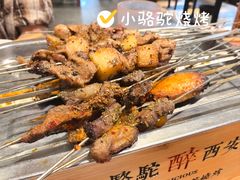 -福苗小骆驼烧烤(莲湖路店)