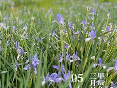 -周口店坡峰岭风景区