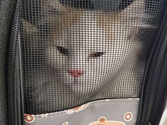 -德元·美联众合24小时动物医院(总院)