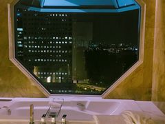 -新加坡丽思卡尔顿美年酒店