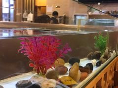 -金穗园·砂锅粥.醉鸡煲火锅(长寿路店)