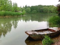 -济南森林公园