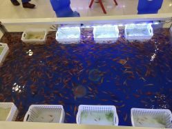 -孩子王童乐园(淮安万达店)