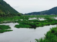 腾冲北海湿地保护区-腾冲北海湿地