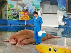 -多彩贵州城极地海洋世界