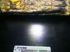 -石家庄海洋公园