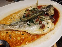 -维园悦谱·海派家常菜(乌鲁木齐南路店)