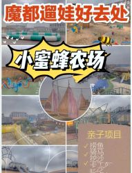 点击看大图 -小蜜蜂农场(凯德七宝购物广场店)