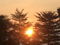 -神光山国家森林公园