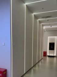 -小忠丽格医美