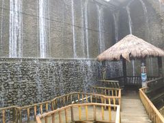 -呀路古热带植物园