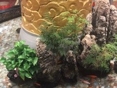 -万荣烤鸭店·北京菜(天坛店)