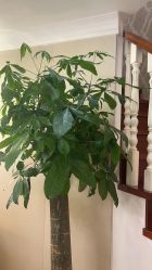 -茜尔维亚修身连锁(闵行莘庄店)