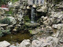 -上海醉白池公园
