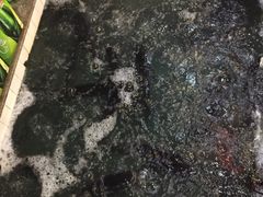 -旭龙鱼头王(航华店)
