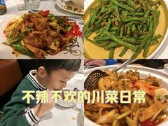 -峨嵋一派