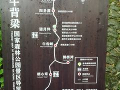 -牛背梁国家森林公园