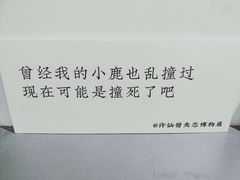 -成都失恋馆