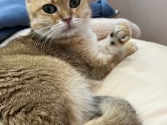 -1013 PET SHOP 宠物商店(近铁城市广场店)