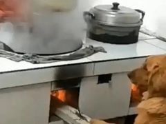 -桃源山庄·水蜜桃采摘·柴火鸡·烧烤团建(龙泉山店)
