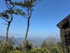 -莫干山风景区