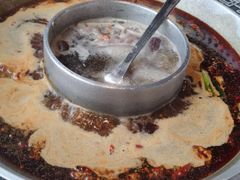-晓宇重庆火锅(赛格国际购物中心店)