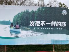 -上海海湾国家森林公园