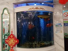 -齐家花园大酒店(宝山店)