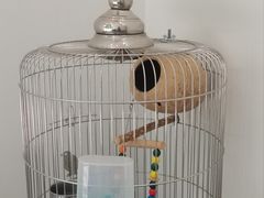 -岳合轩老北京涮肉