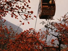 -周口店坡峰岭风景区