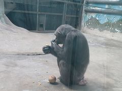 -石家庄市动物园