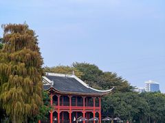 -顺峰山公园
