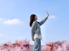 -WFC会仙楼观景台