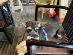 -二荆条·蜀鲜汇城市森林火锅