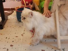 -大悦城(沈阳中街店)