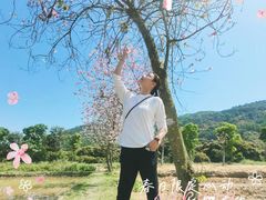 -艾米稻香小镇