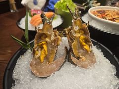 鲜活小青龙-东海怡品海鲜豆捞(舟宿夜江店)