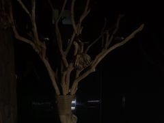 -心足私家足疗SPA(深圳湾店)