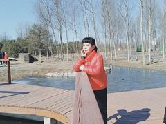-东郊湿地公园