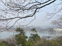 -九华山公园