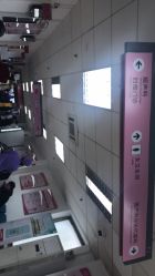 -北京妇产医院(东院)